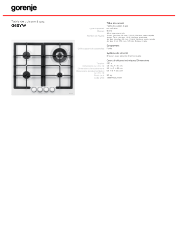 Gorenje G6SYW Manuel du propriétaire | Fixfr
