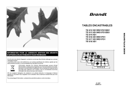 Brandt TE612XS1 Manuel du propriétaire