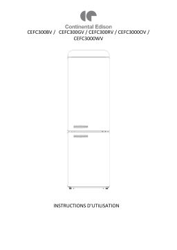 CONTINENTAL EDISON CEFC300RV Manuel du propriétaire