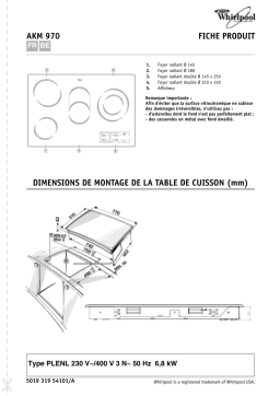 Whirlpool AKM 970/G/IX/01 Manuel du propriétaire