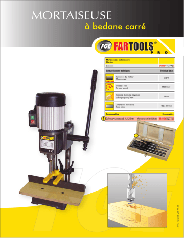 Fartools MS 3625 Manuel du propriétaire | Fixfr