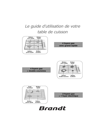 Brandt TE213BF1 Manuel du propriétaire | Fixfr