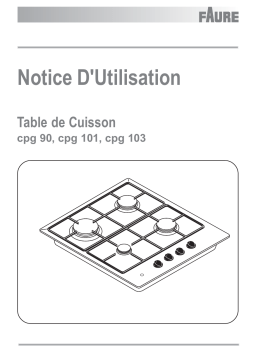 Faure CGP 103 W Manuel du propriétaire