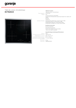 Gorenje ECT620AX Manuel du propriétaire