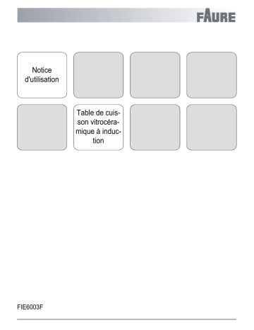 Faure FIE6003F Manuel du propriétaire | Fixfr