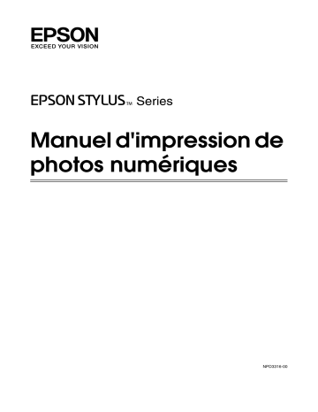 Epson Stylus Photo R1900 Manuel du propriétaire | Fixfr