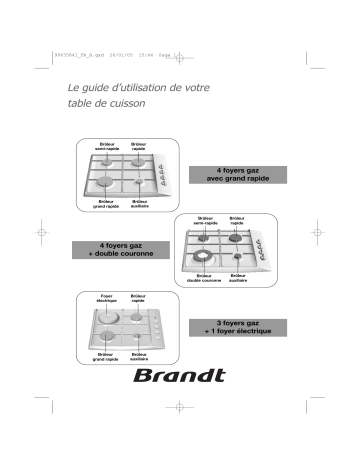 Brandt TE518XS1 Manuel du propriétaire | Fixfr