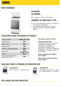 Zanussi ZCG554GW Manuel du propriétaire