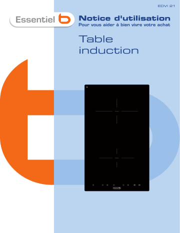 Manuel du propriétaire | ESSENTIELB EDVI 21 Manuel utilisateur | Fixfr