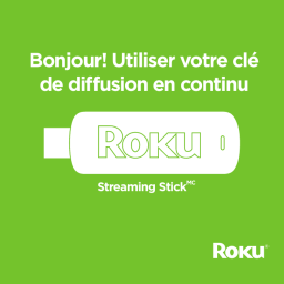 Roku Streaming Stick Manuel du propriétaire