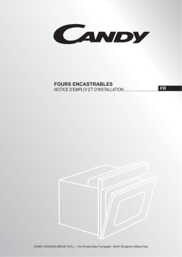 Candy FST249/6X Oven Manuel utilisateur