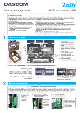 Dascom MIP-480 Manuel utilisateur