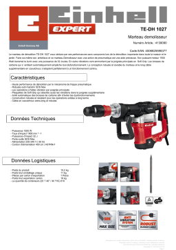 EINHELL TE-DH 1027 Demolition Hammer Manuel utilisateur