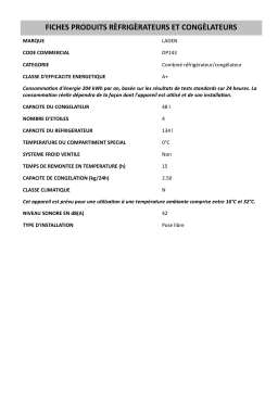 LADEN DP143 Fridge/freezer combination Manuel utilisateur