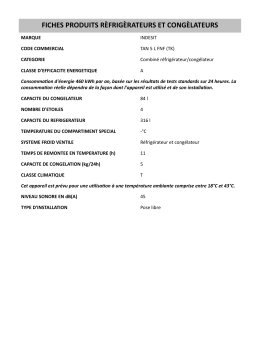 Indesit TAN 5 L FNF (TK) Fridge/freezer combination Manuel utilisateur