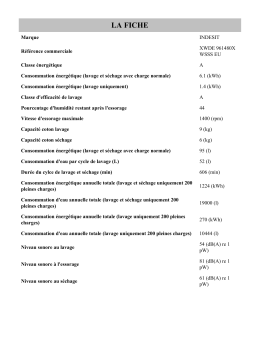 Indesit XWDE 961480X WSSS EU Washer dryer Manuel utilisateur
