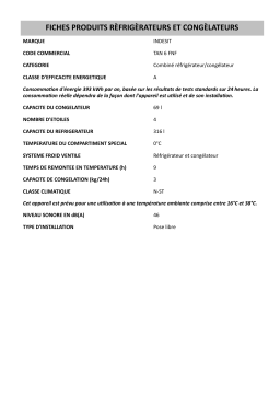 Indesit TAN 6 FNF Fridge/freezer combination Manuel utilisateur