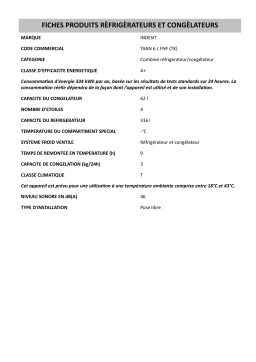 Indesit TAAN 6 L FNF (TK) Fridge/freezer combination Manuel utilisateur