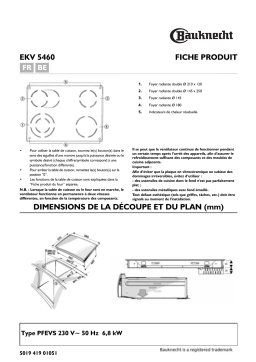 Bauknecht EKV 5460 IN-1 Hob Manuel utilisateur