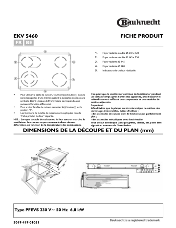 Bauknecht EKV 5460 IN-1 Hob Manuel utilisateur | Fixfr