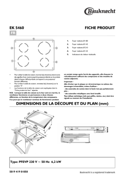 Bauknecht EK 5460 IN-1 Hob Manuel utilisateur