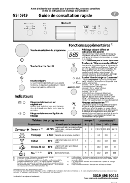 Bauknecht GSI 5919/1 WS BK Dishwasher Manuel utilisateur