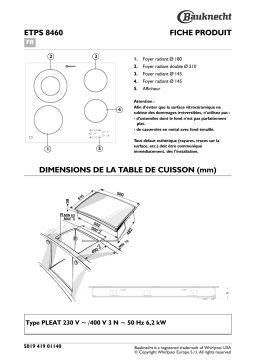 Bauknecht ETPS 8460/IN Hob Manuel utilisateur