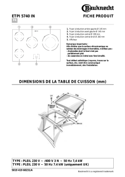 Bauknecht ETPI 5740 IN/01 Hob Manuel utilisateur