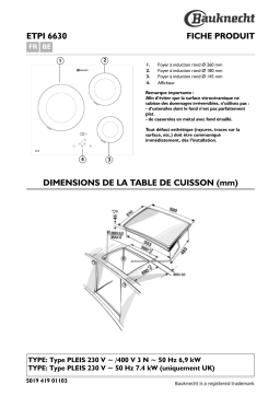 Bauknecht ETPI 6630 IN Hob Manuel utilisateur