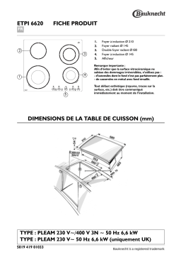 Bauknecht ETPI 6620 IN Hob Manuel utilisateur