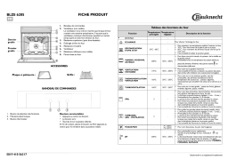 Bauknecht BLZE 6205 IN Oven Manuel utilisateur