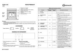 Bauknecht BLZE 6160/EW Oven Manuel utilisateur
