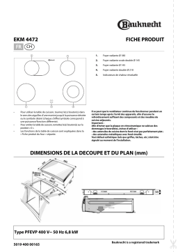 Bauknecht EKM 4472 IN Hob Manuel utilisateur