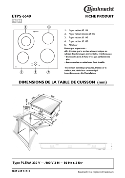 Bauknecht ETPS 6640 IN Hob Manuel utilisateur