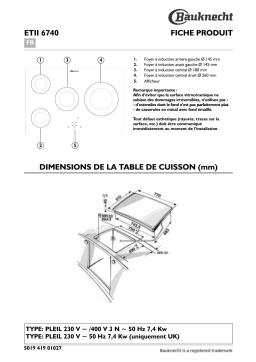 Bauknecht ETII 6740 NE Hob Manuel utilisateur