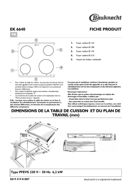 Bauknecht EK 6640 IN Hob Manuel utilisateur