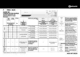 Bauknecht TRKK 6620 Dryer Manuel utilisateur