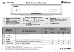 Bauknecht GSF OEKO TW-WS Dishwasher Manuel utilisateur