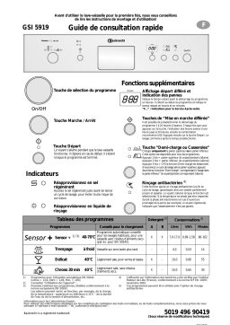 Bauknecht GSI 5919 WS Dishwasher Manuel utilisateur