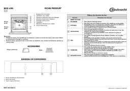 Bauknecht BMZ 6205/WS Oven Manuel utilisateur