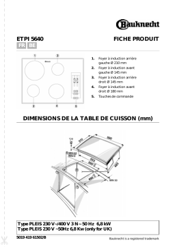 Bauknecht ETPI 5640 IN Hob Manuel utilisateur