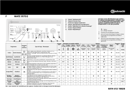 Bauknecht WATE 9575/2 Washing machine Manuel utilisateur