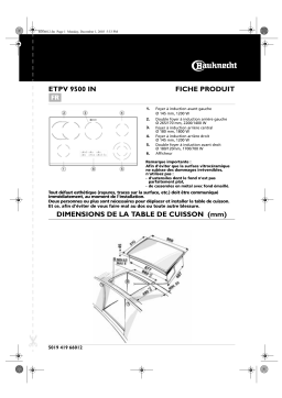 Bauknecht ETPV 9500 IN Hob Manuel utilisateur