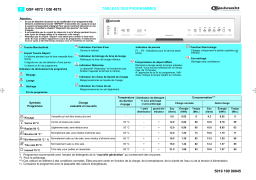 Bauknecht GSI 4875 TW- Dishwasher Manuel utilisateur