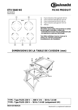 Bauknecht ETII 5640 NE/01 Hob Manuel utilisateur