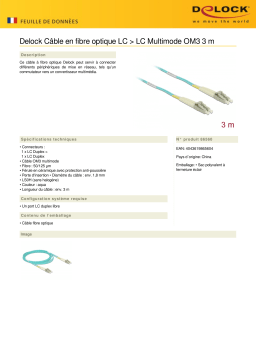 DeLOCK 86560 Cable Optical Fibre LC to LC Multi-mode OM3 3 m Fiche technique