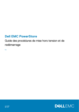 Dell PowerStore 9000X storage Manuel utilisateur