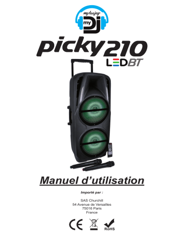 Manuel du propriétaire | . PICKY 210 LEDBT Enceinte Manuel utilisateur | Fixfr