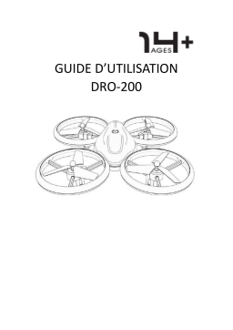 Denver DRO-200 2,4GHz flying drone Manuel utilisateur