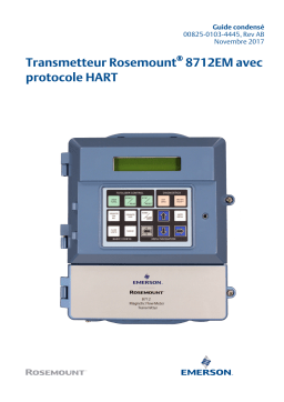 Rosemount Transmetteur 8712EM avec protocole HART Mode d'emploi